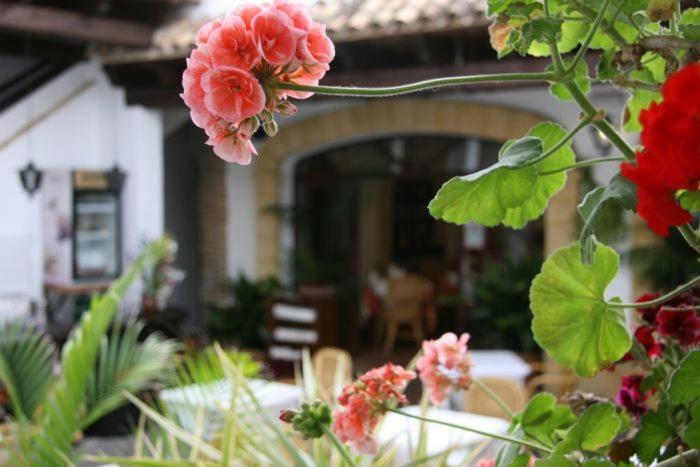 Hostal Torre de Guzmán Conil De La Frontera Esterno foto